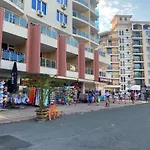Esperanto 401 Large Sunny *