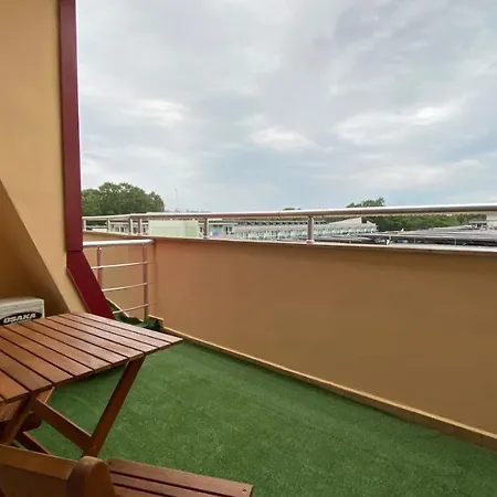 Esperanto 401 Large Sunny * 써니비치