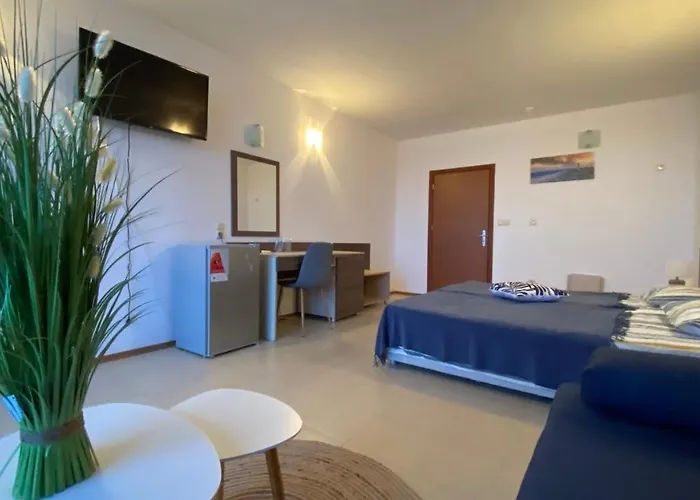 Daire Esperanto 401 Large Sunny